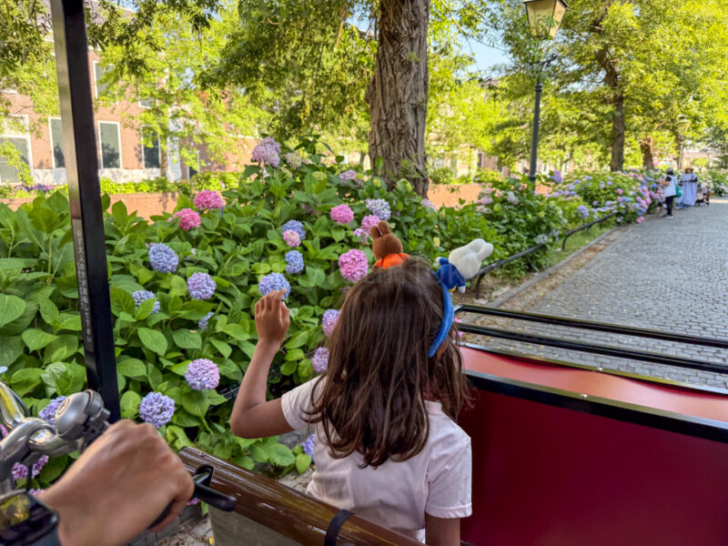 child on bike at Huis Ten Bosch