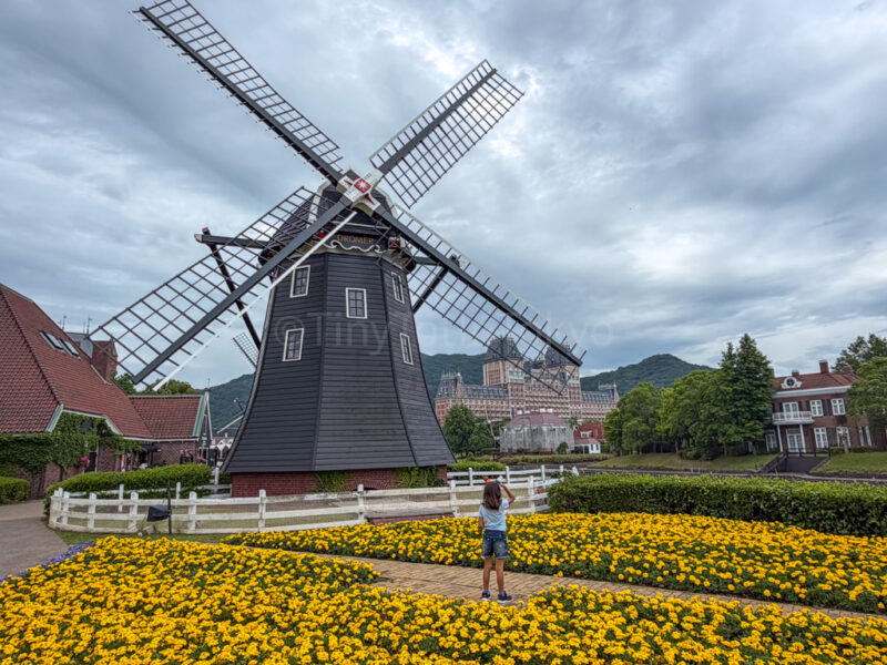 a child and a windmill at flower road in Huis Ten Bosch