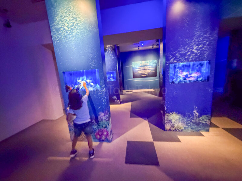 child playing in aquarium fantasy at huis ten bosch