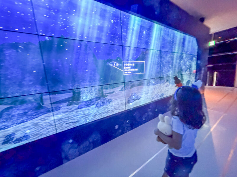 a child at aquarium fantasia at huis ten bosch