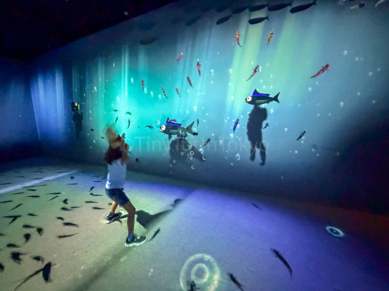 child turning into a fish at huis ten bosch