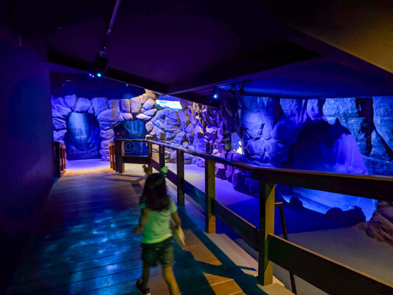 child walking through aquarium fantasy at huis ten bosch