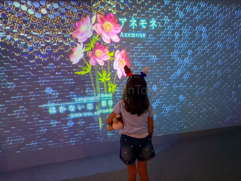 a child looking at a flower projection in huis ten bosch flower fantasia