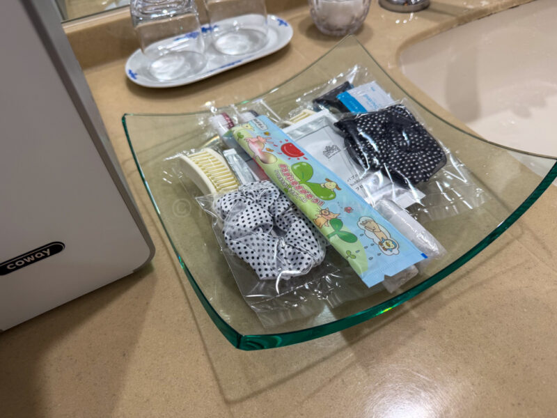 amenities at hotel amsterdam huis ten bosch