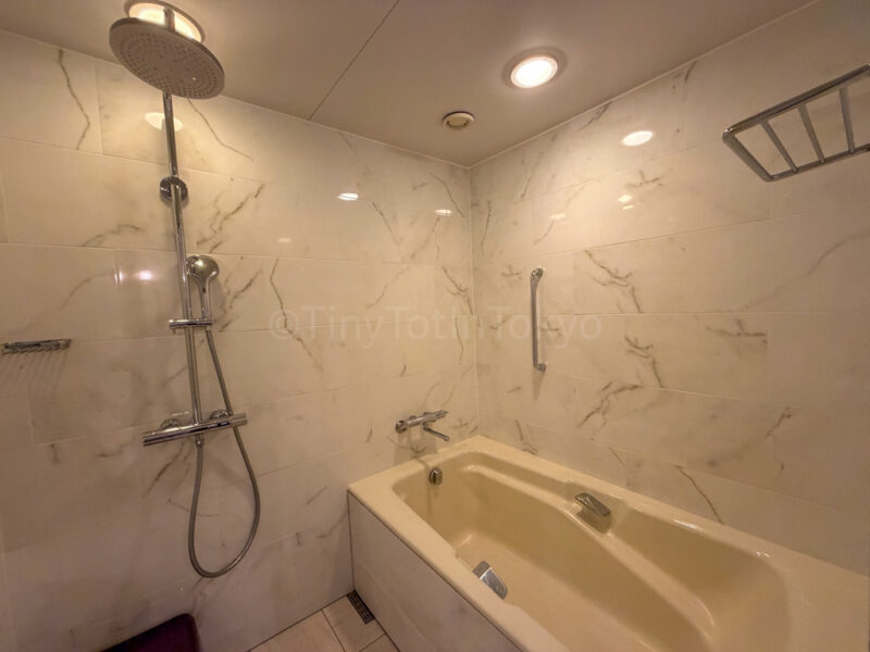 shower and bathtub in deluxe room in Hotel Europe at Huis Ten Bosch