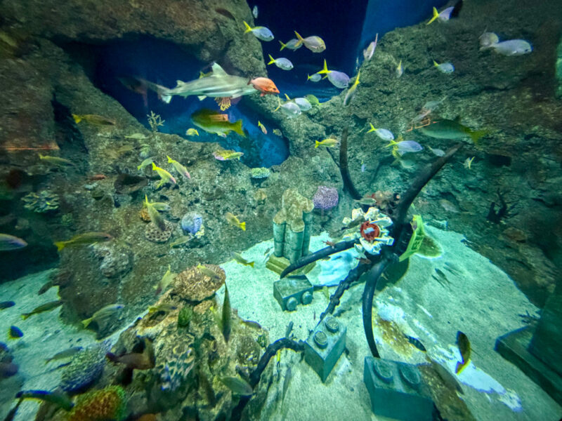 fish and lego inside the submarine ride at legoland japan with kids