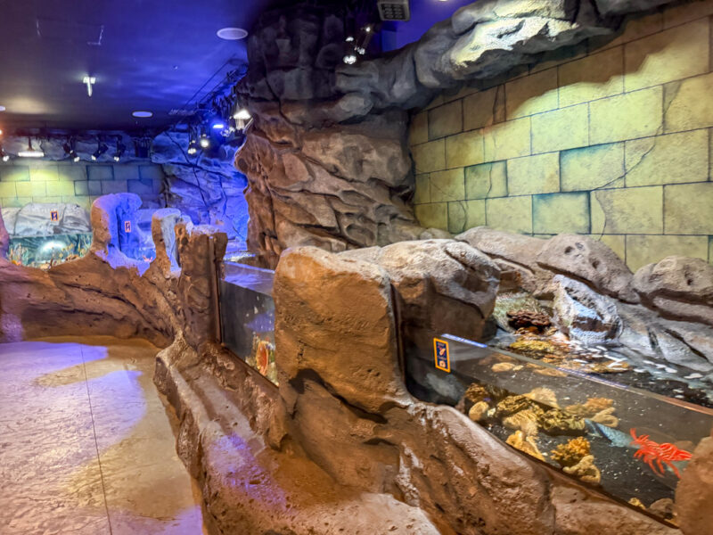 small aquarium at legoland japan 