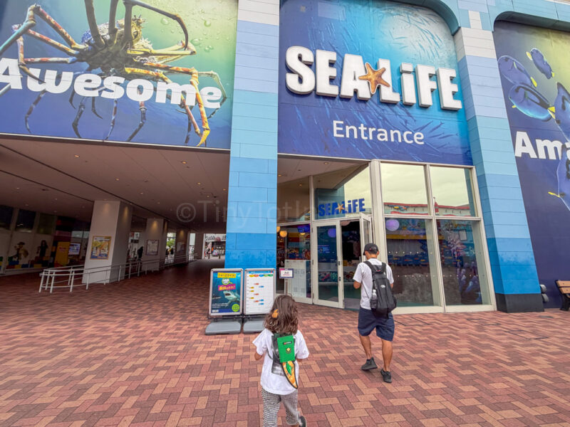 a parent and child at Nagoya Sealife Aquarium