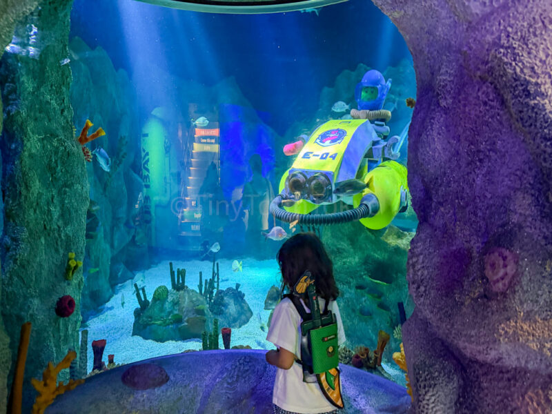 a child at nagoya sea life aquarium
