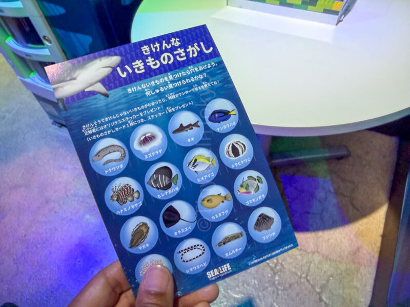bingo card at nagoya sea life aquarium