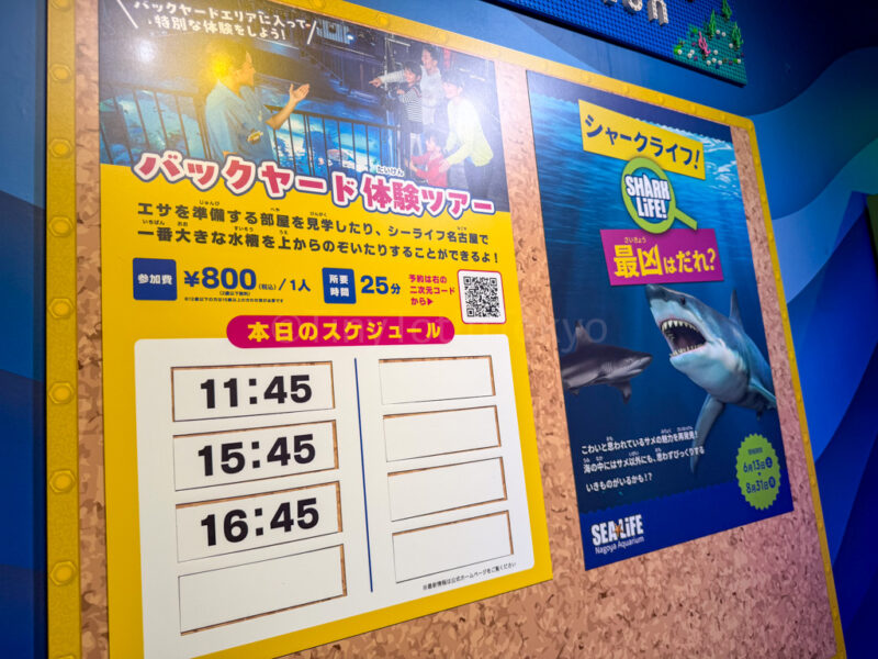 shows at nagoya sea life park 