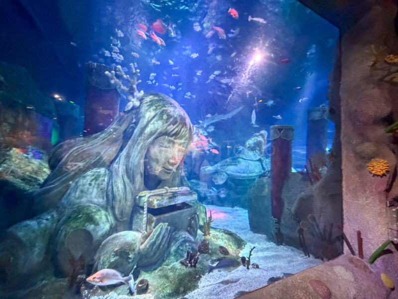 nagoya sea life aquarium
