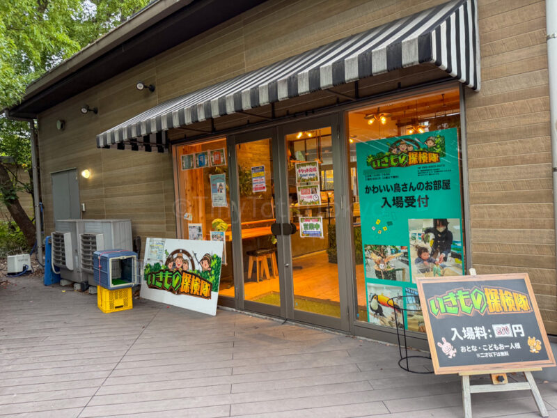 animal experience near legoland japan hotel