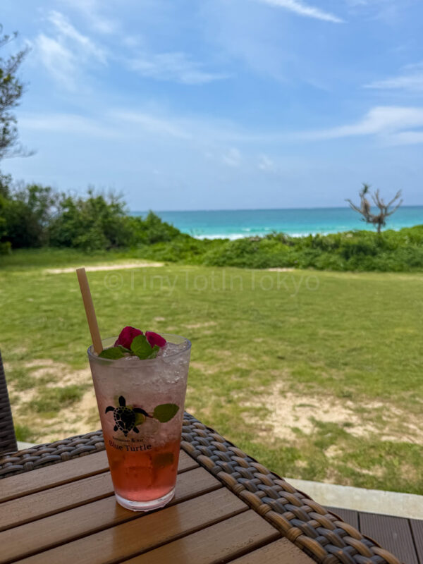 passionfruit cocktail at blue turtle in miyakojima