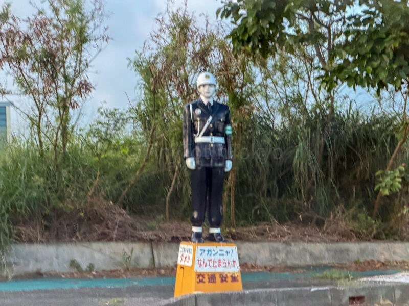 miyako mamoru-kun 