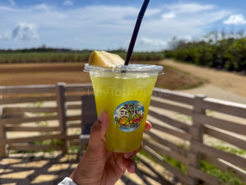 fresh sugarcane juice in Miyakojima