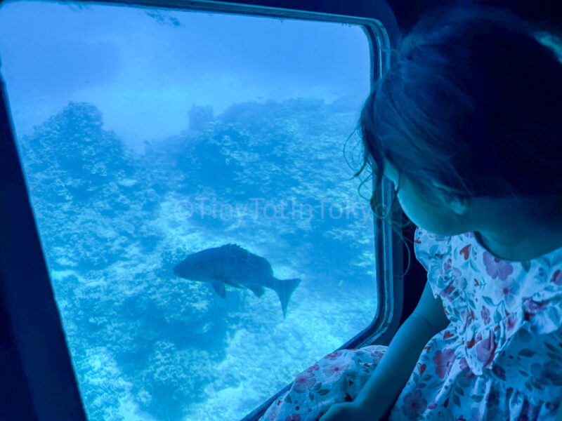 a child on an underwater boat tour in Miyakojima