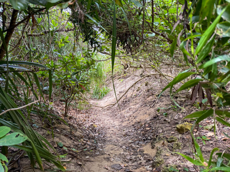 path to Nagamahama Beach in miyakojima