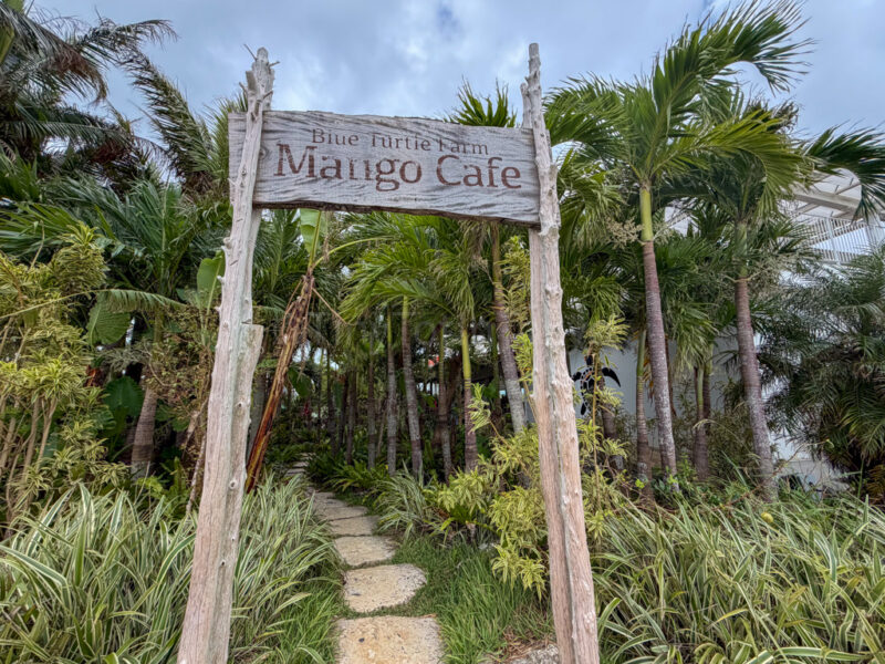 Blue Turtle Farm Mango Cafe entrance