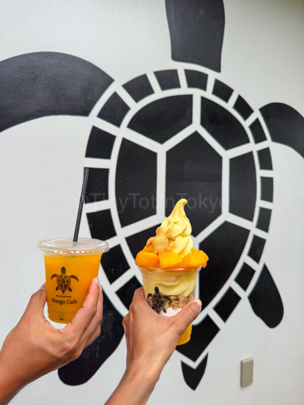 blue turtle farm mango cafe
