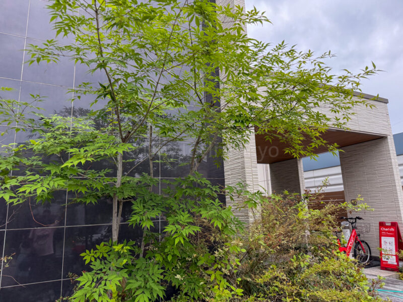HOTEL All Stay Hakata Kukodori.