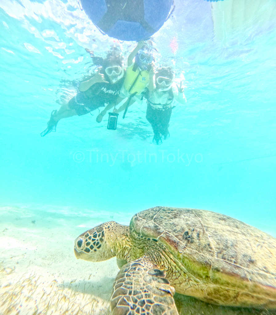 a family snorkeling in Miyakojima
