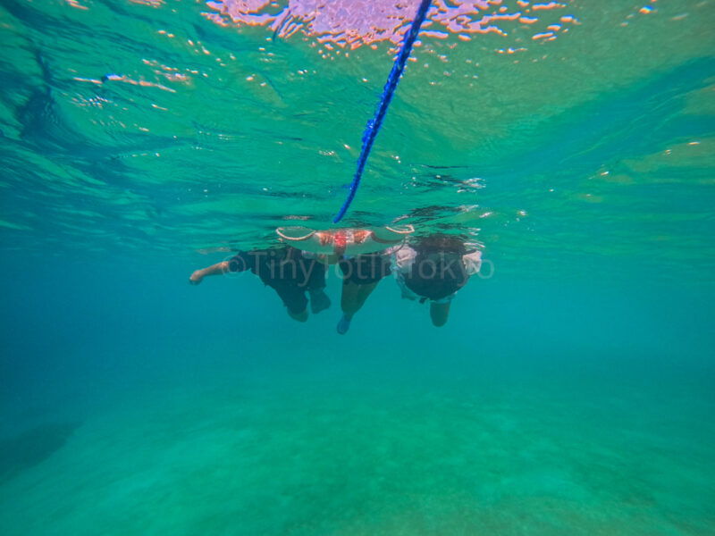 a family snorkeling in Miyakojima