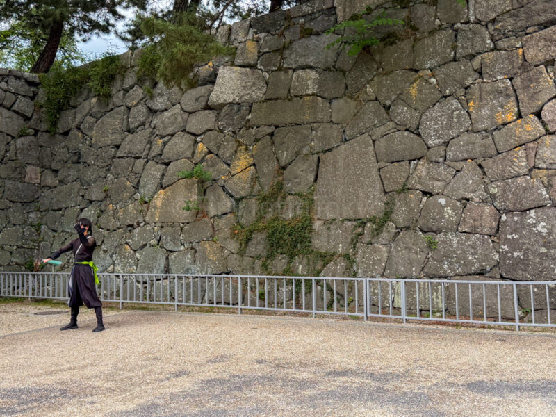 ninja at nagoya castle