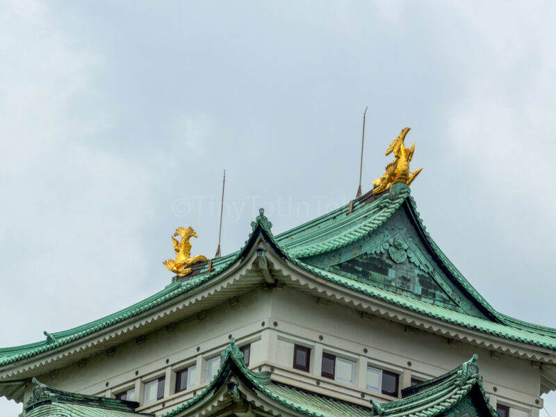 Nagoya Castle shachi