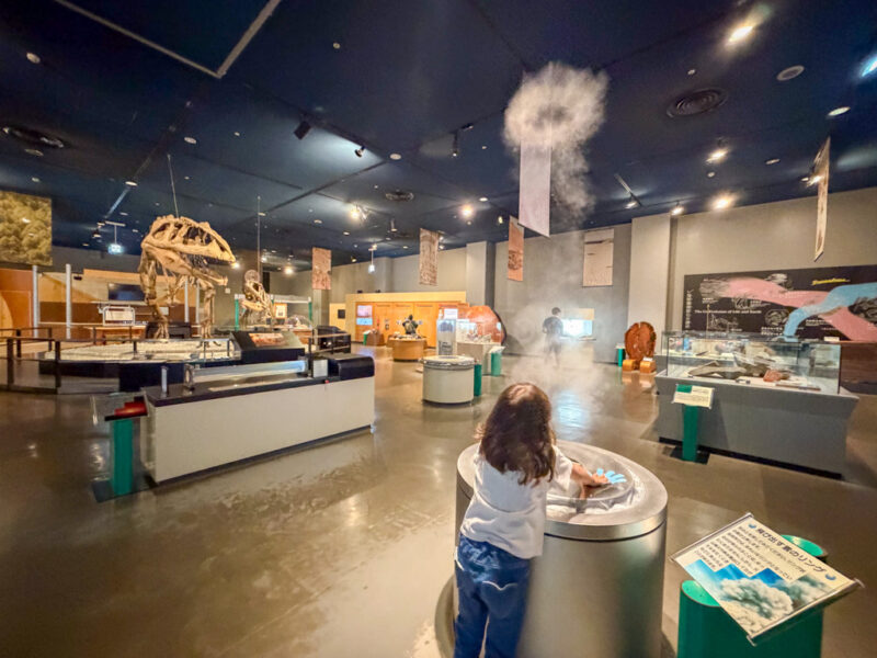 child at an exhibit at Nagoya city science museum