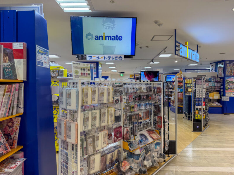 animate in nagoya