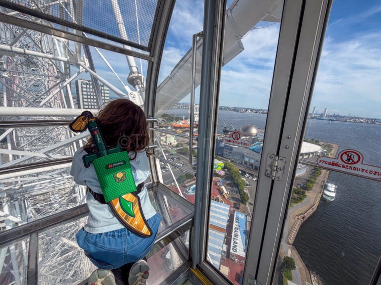 child in the ferris wheel in nagoya